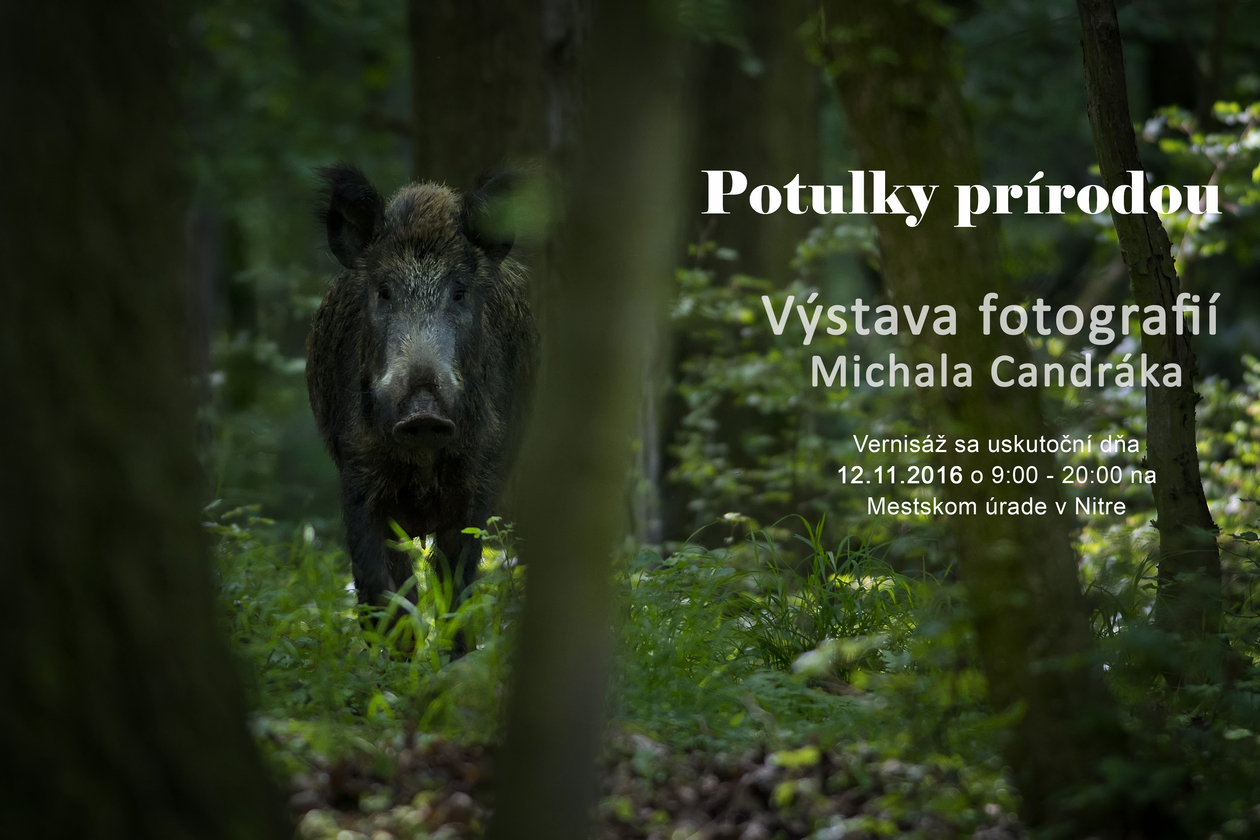 Výstava fotografií Potulky prírodou Michala Candráka v ramci festivalu vysoké hory Nitra. 