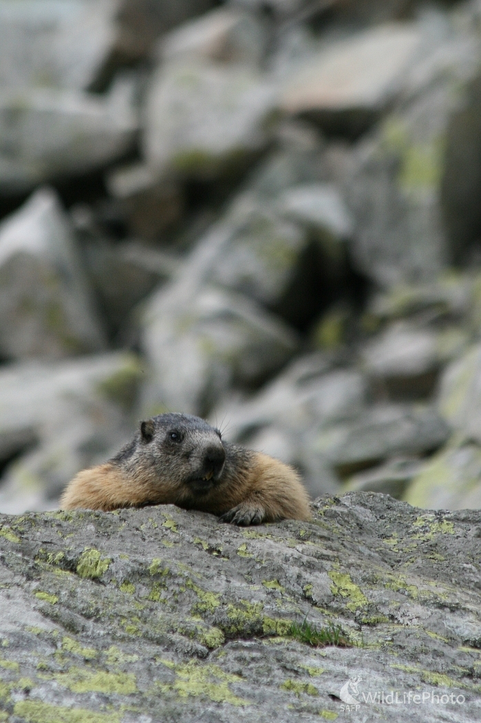 ...ešte jedno pivo... :) (Milan Fuňák)