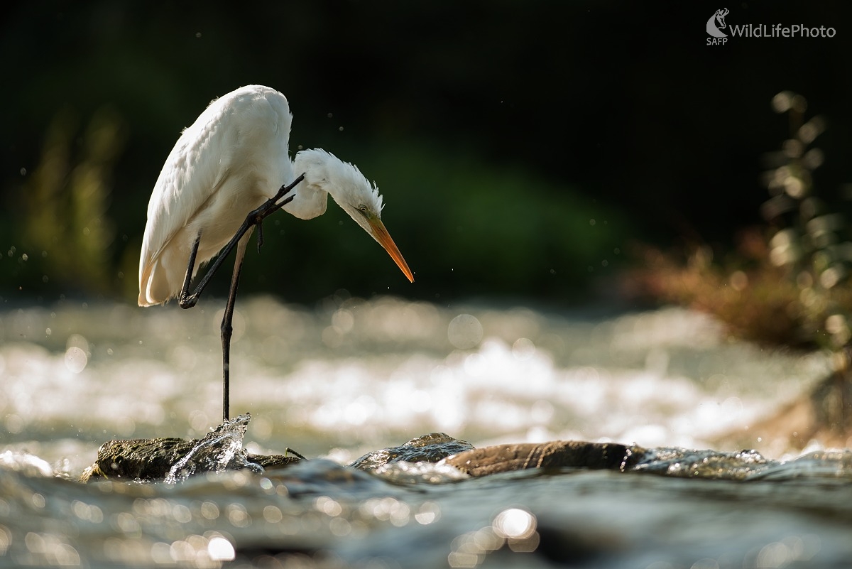 V protisvetle (Ľubomír Ondráško)