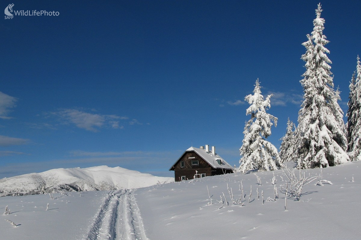 zimným chodníčkom (Michal Žec)