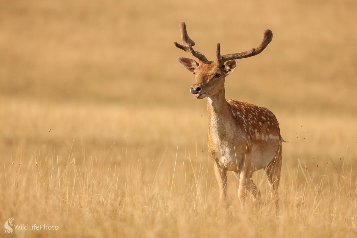 Priahnuc po vode  (Michal Lutonský)