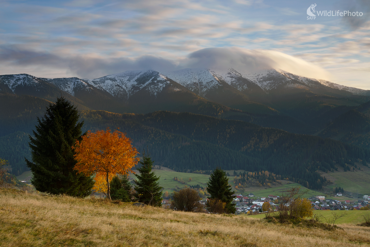 Prvý sneh (Miroslav Ondruš)