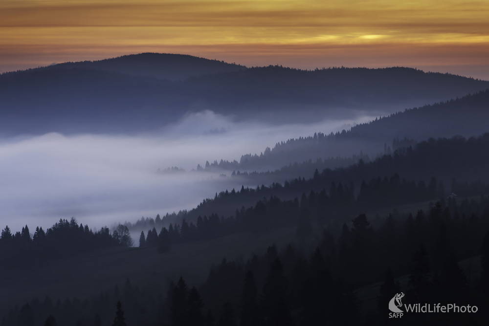 Lesnicke sedlo (Michal Candrák)