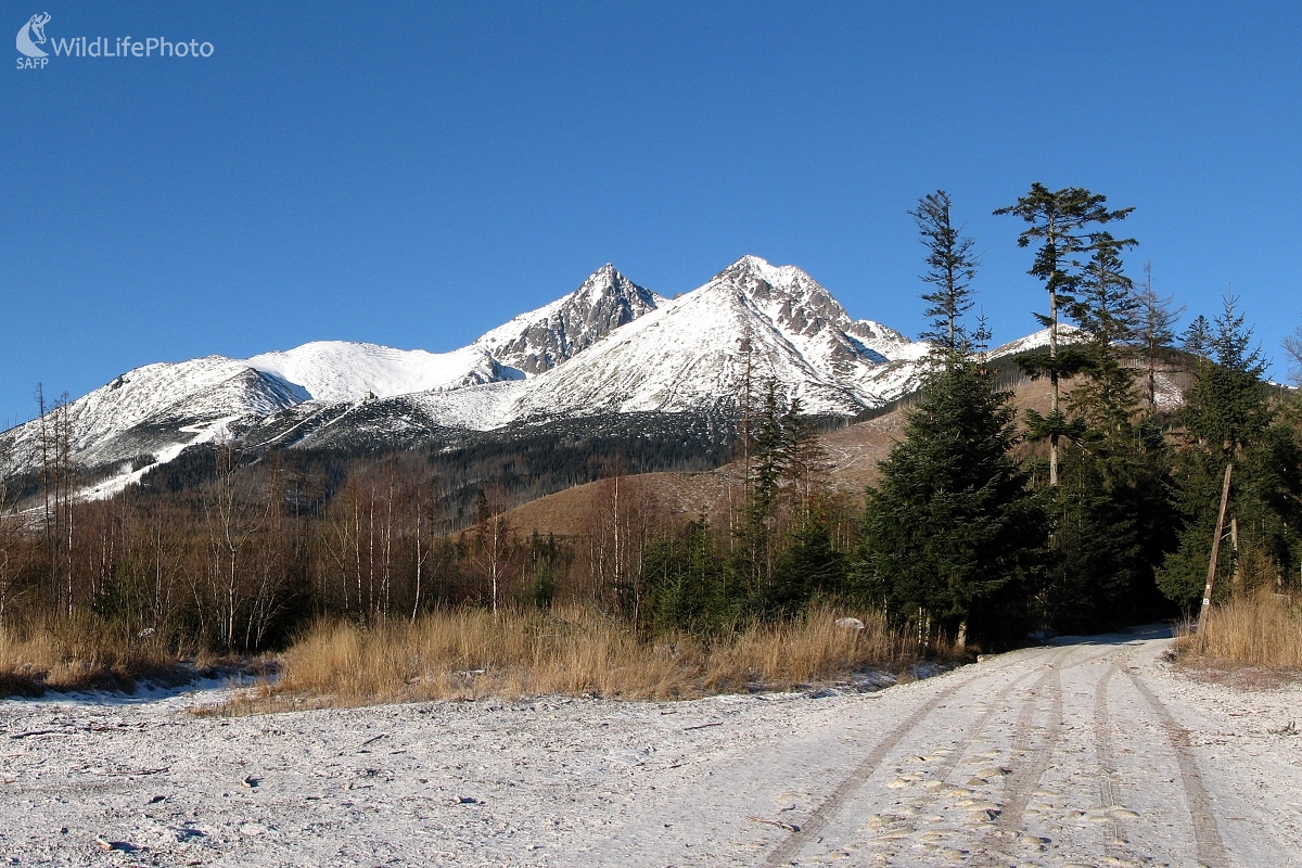 Lomnický a Kežmarský štít (Michal Žec)