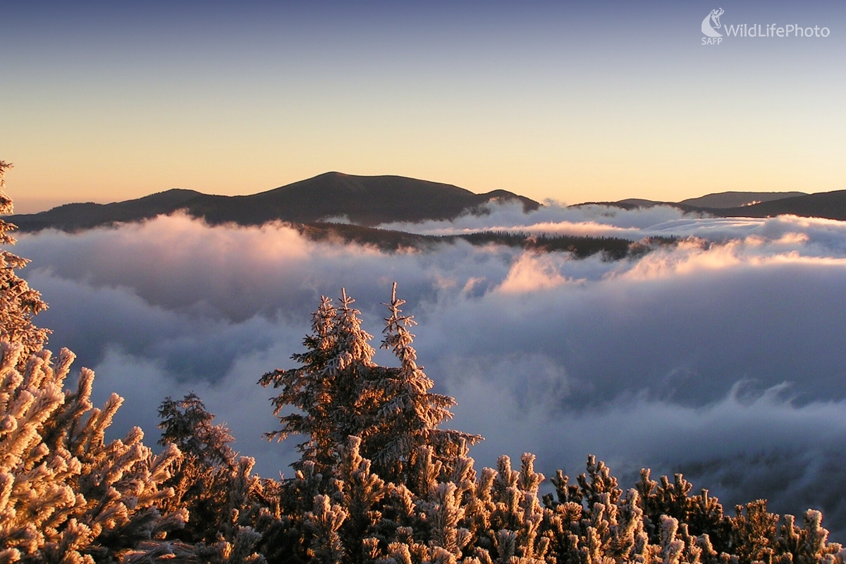 Veľký bok z Lajštrochu (Michal Žec)