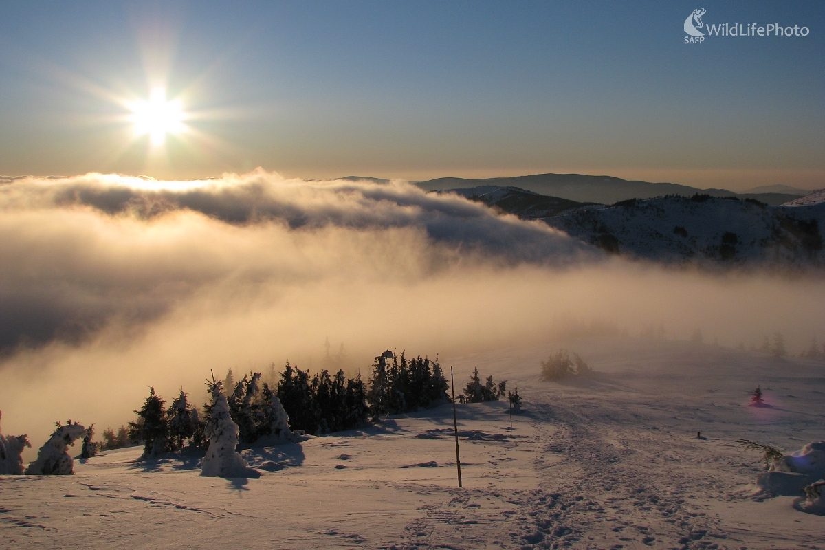 Ráno nad Čertovicou (Michal Žec)