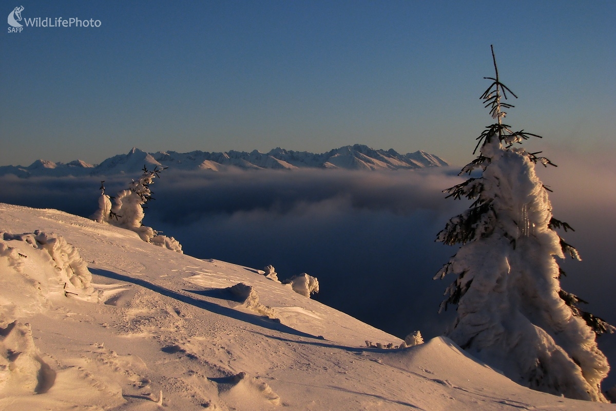 Tatry v rannom svetle (Michal Žec)