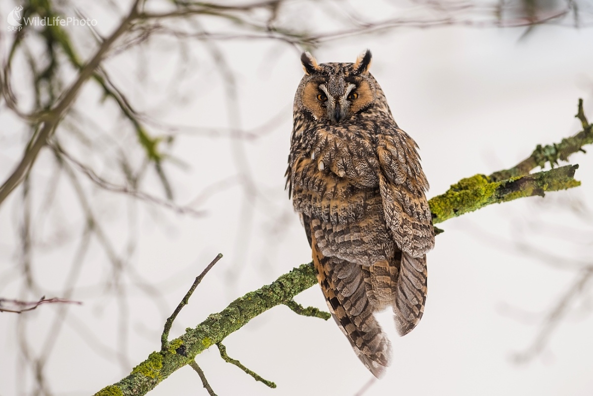 Nerušiť! (Ľubomír Ondráško)