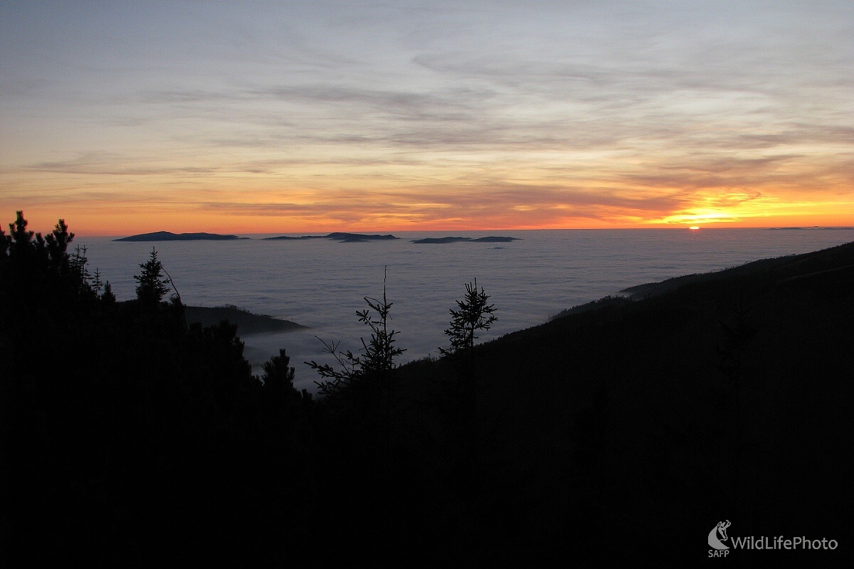 Keď slnko zachodí (Michal Žec)