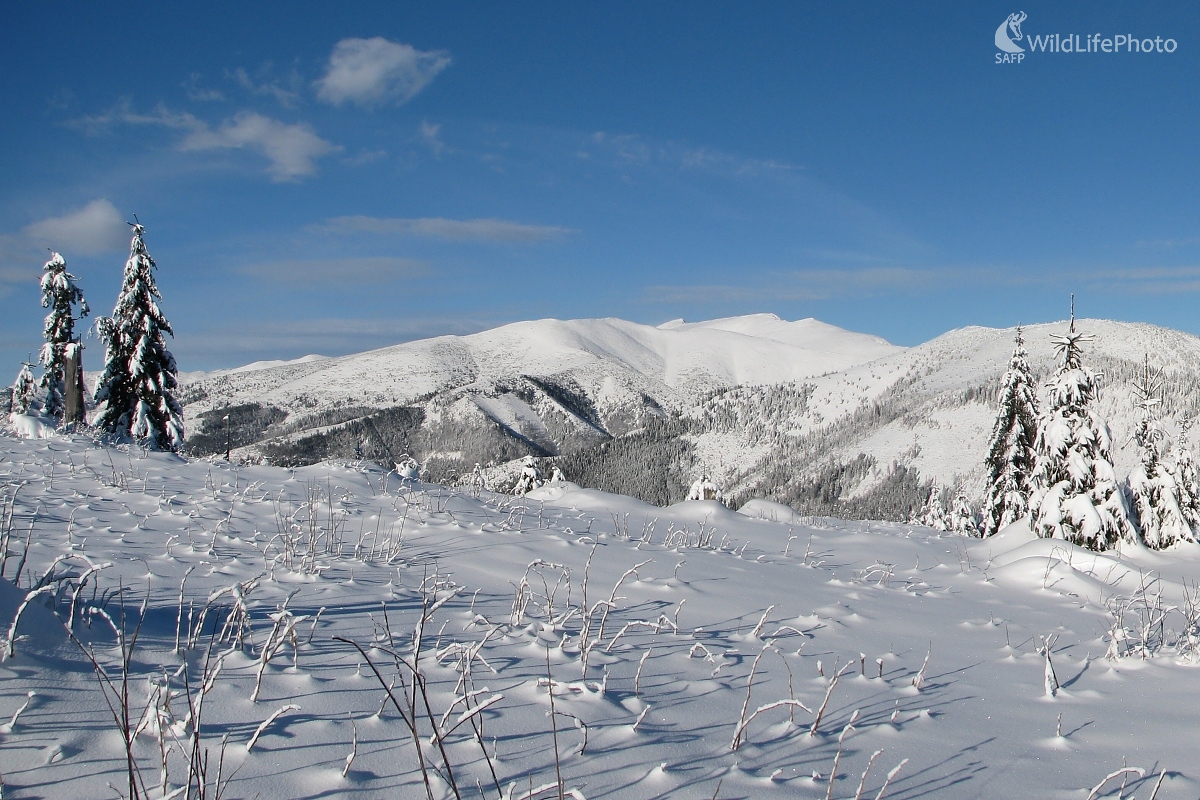 Ďumbier zo sedla za Lenivou (Michal Žec)