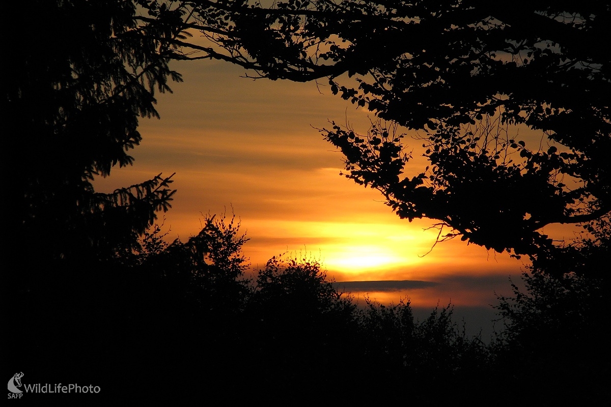 Keď slnko zachodí (Michal Žec)