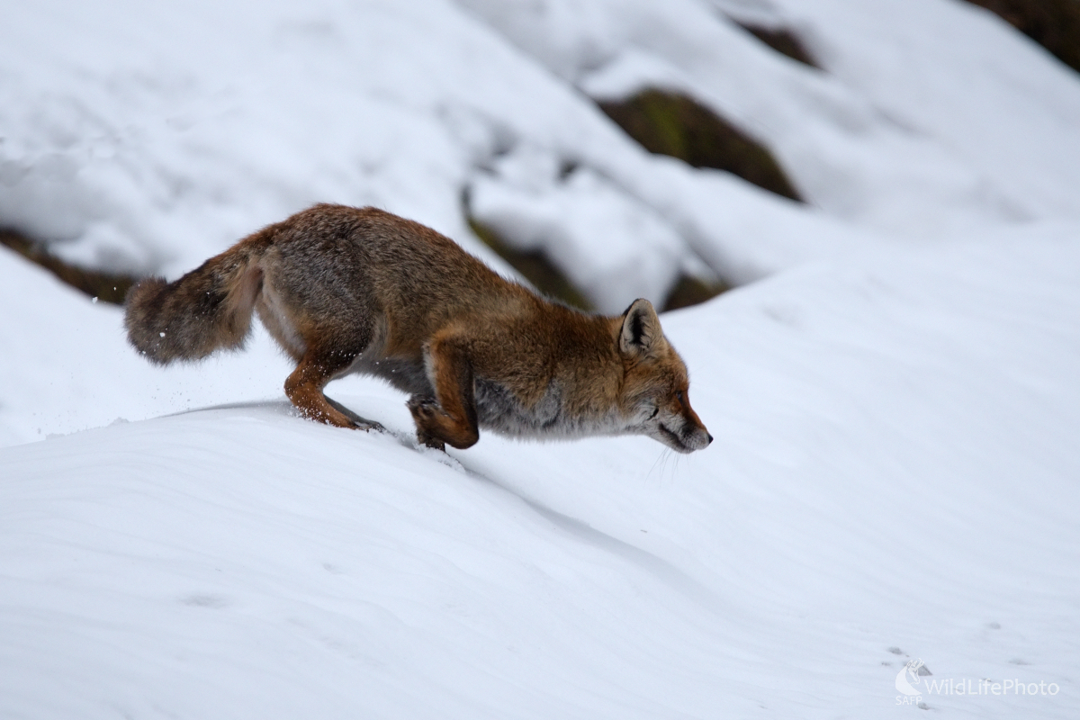 V behu (Milan Čierny)