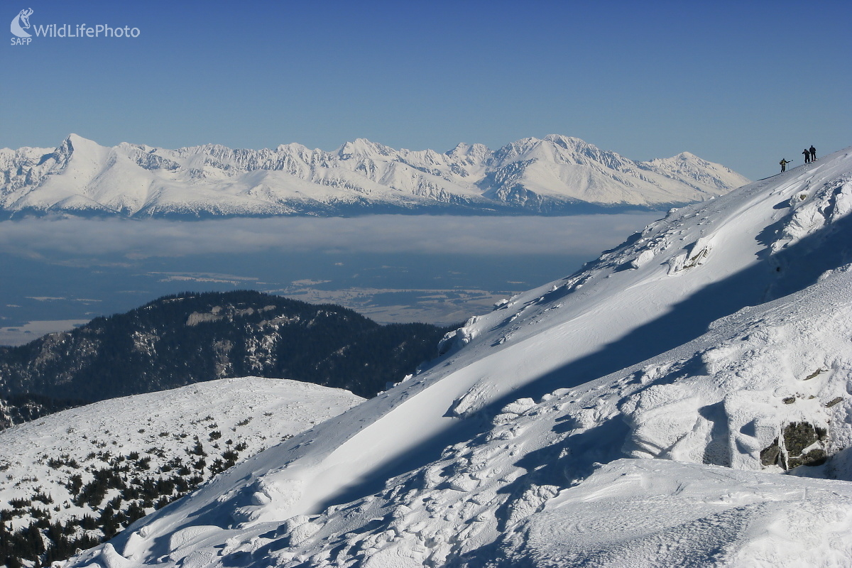 Vysoké Tatry z Nízkych (Michal Žec)