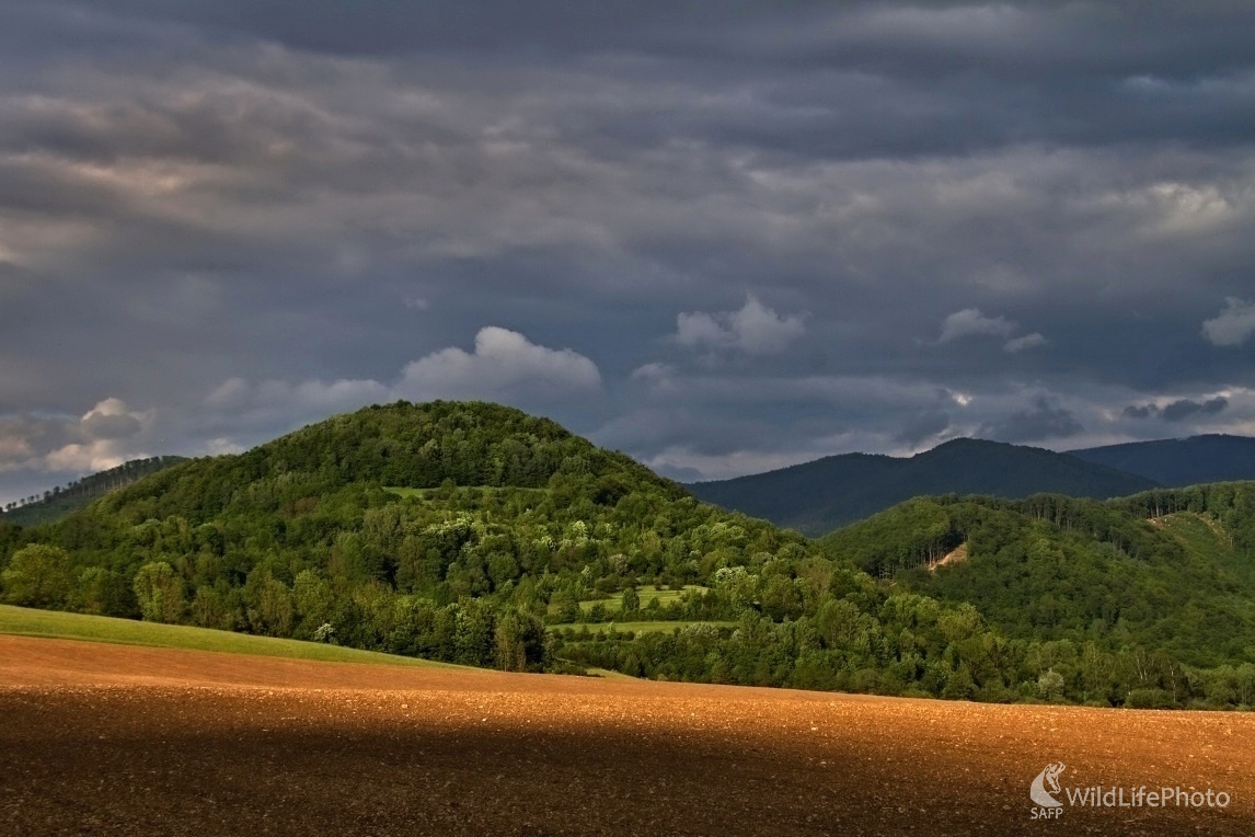 Krajina pri Muráni (Maroš Detko)