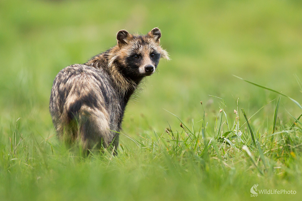 Posledný pohľad (Ladislav Dzivjak)