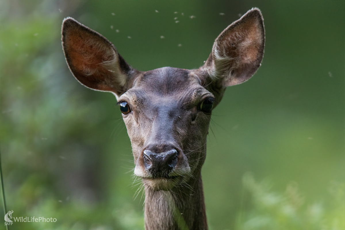 Na dosah (Martin Vondra)