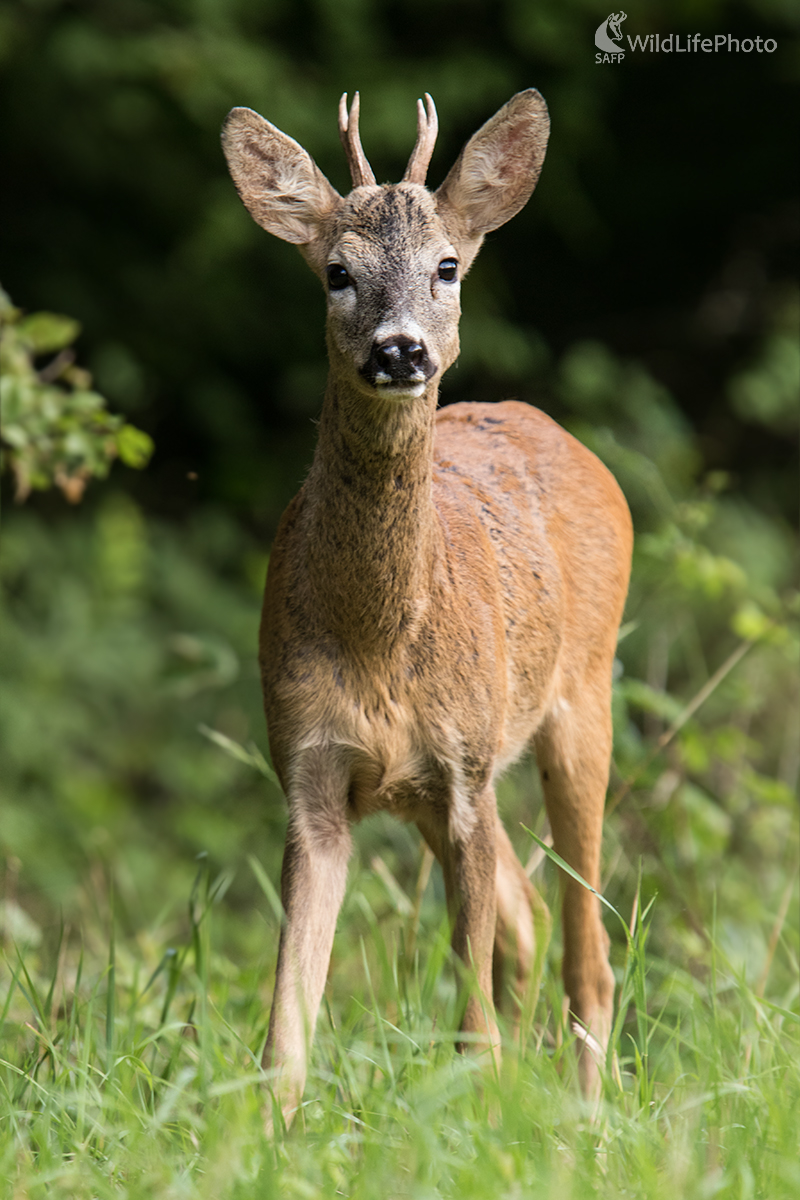 Na dosah ruky (Martin Vondra)