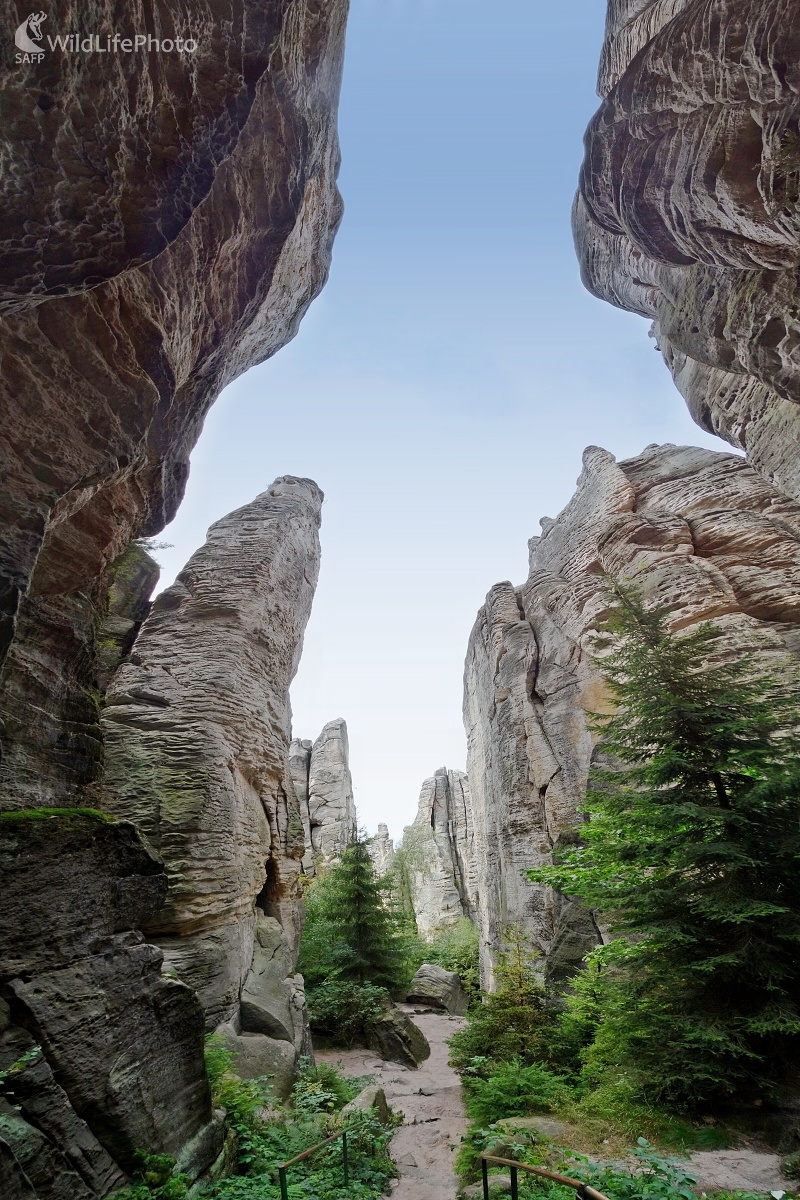 V skalnom meste (Michal Žec)