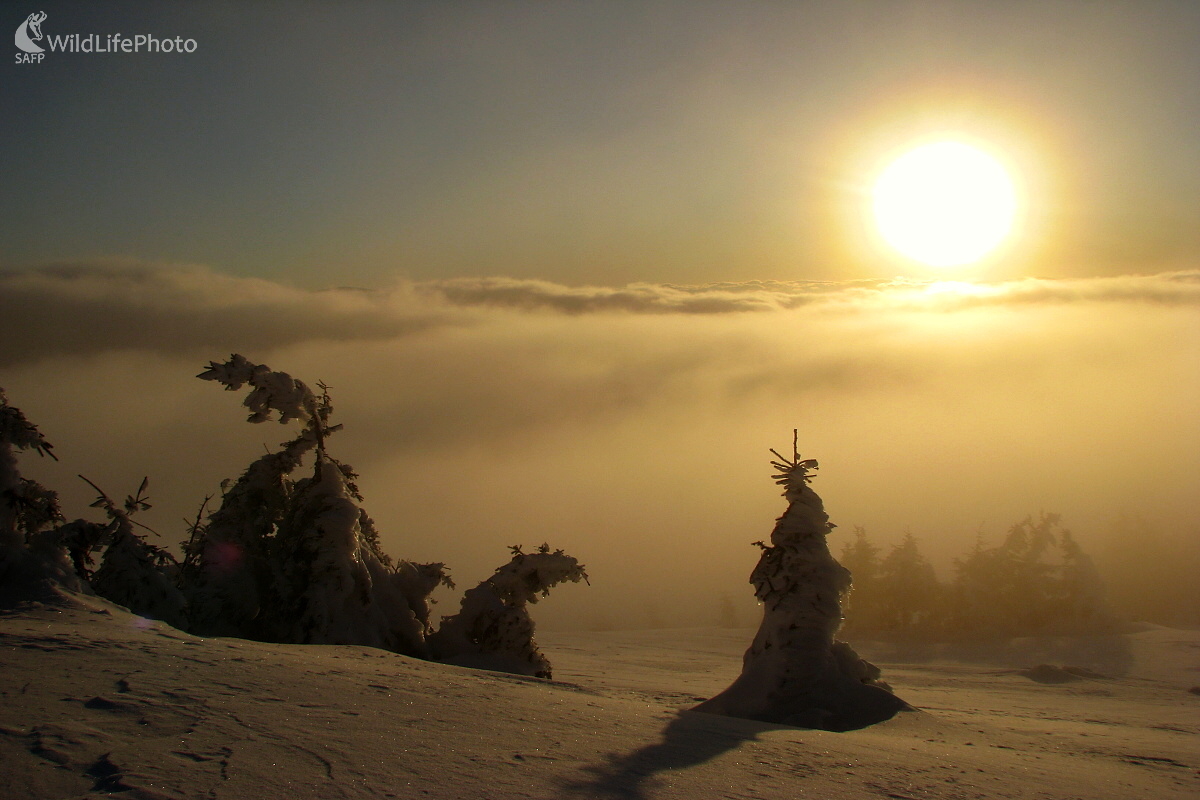 Ráno v Nízkych Tatrách (Michal Žec)