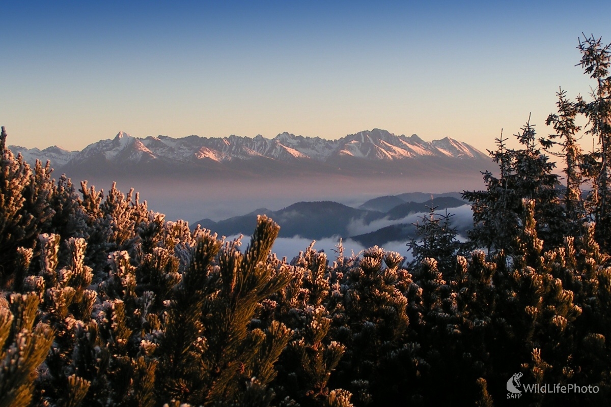 Vysoké Tatry (Michal Žec)