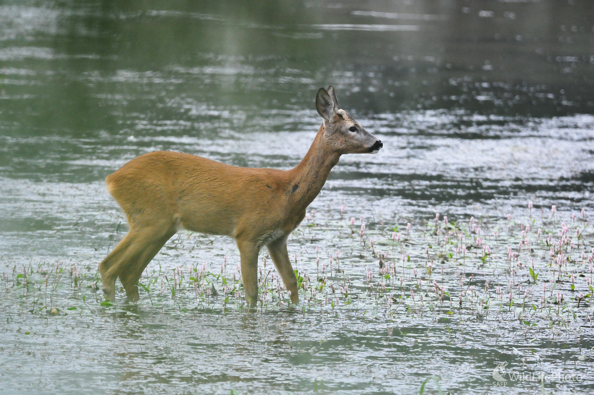 Ochladenie (Milan Čierny)