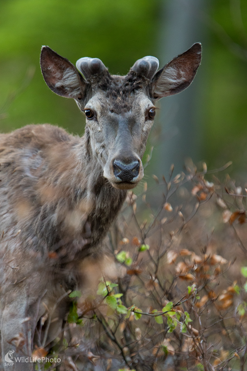 Kuk do objektívu (Martin Vondra)