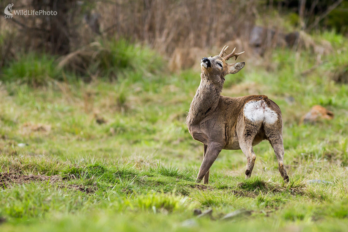 Natiahnutie (Ladislav Dzivjak)