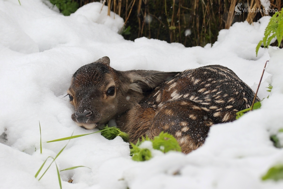 Sila oravskej prírody (Vladimír Michalec)