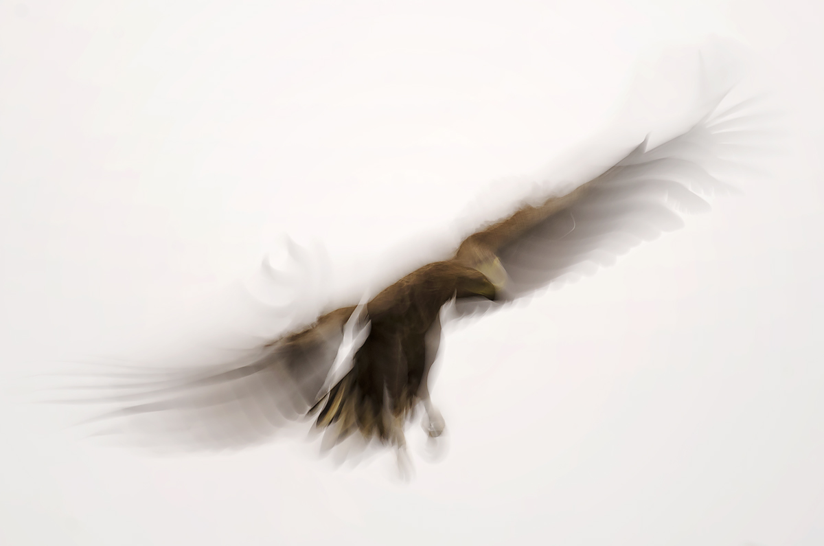 Pristávanie (Peter Fodor)