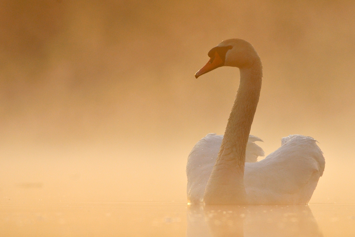 pri východe slnka (Ján Maderič)