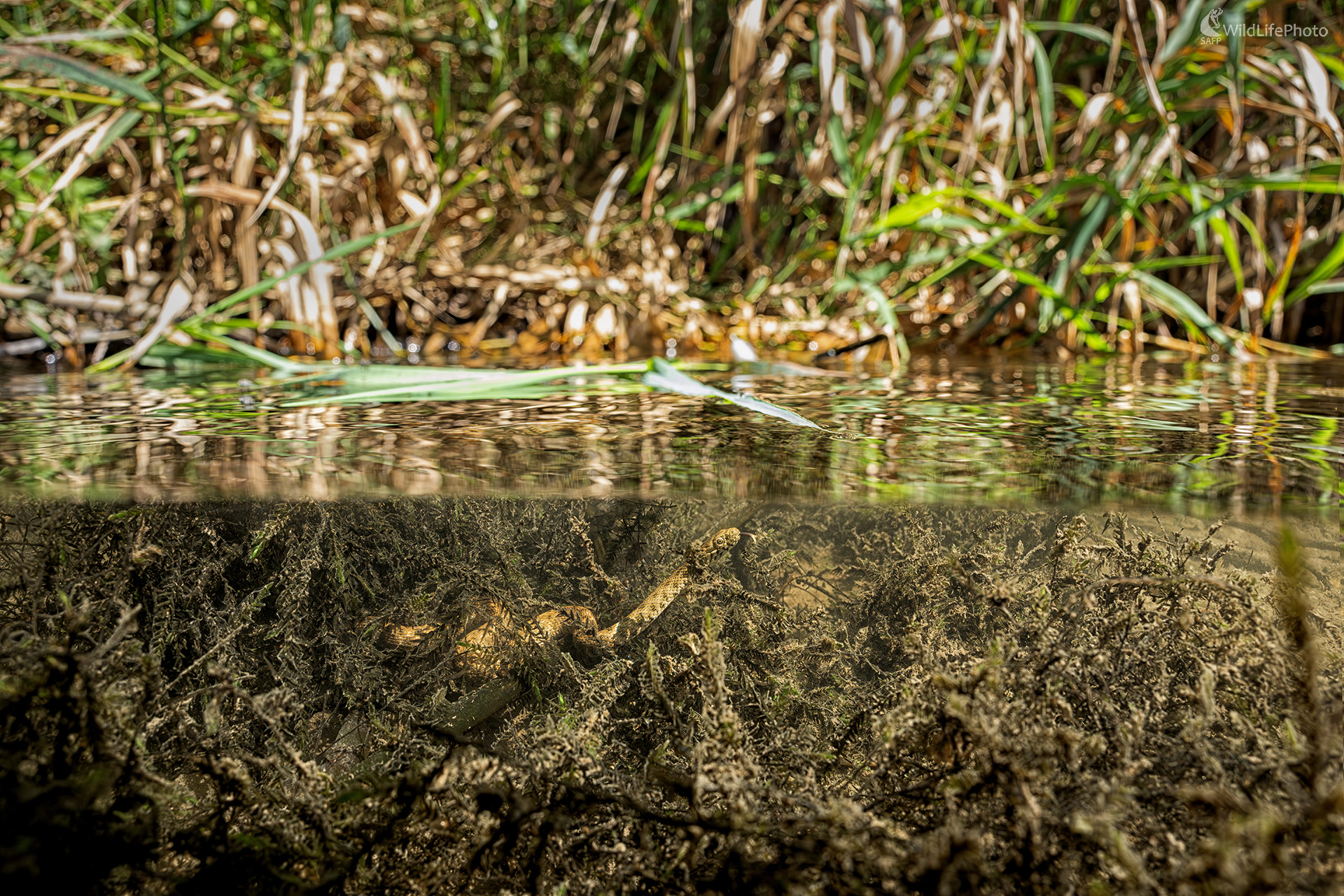 Dva svety (Michal Lučanský)