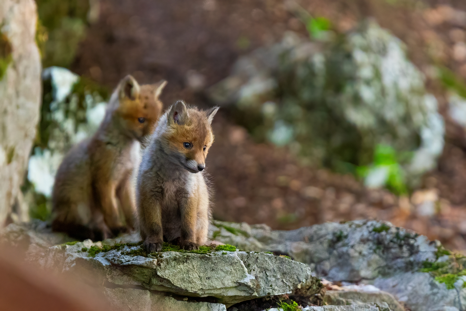Kde je s tým obedom?  (Erik Vondra)