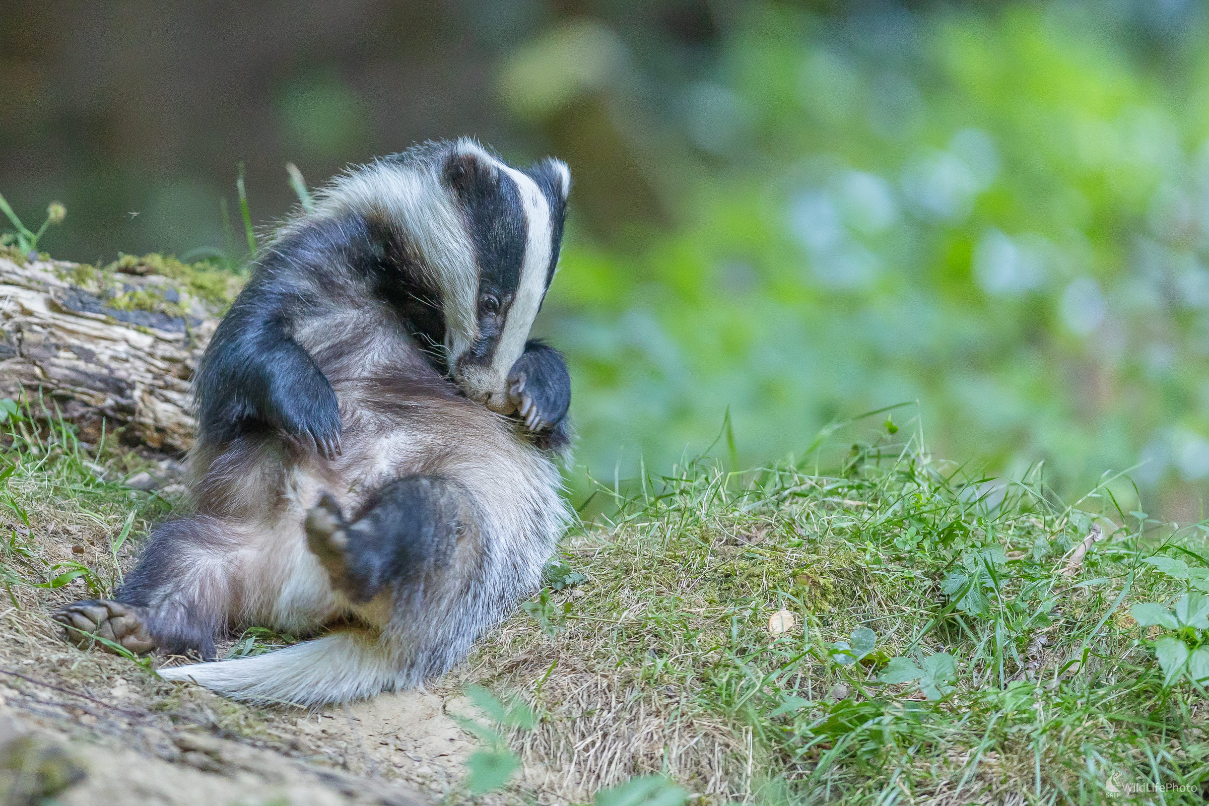 Pohodička. (Stanislav Brisuda)