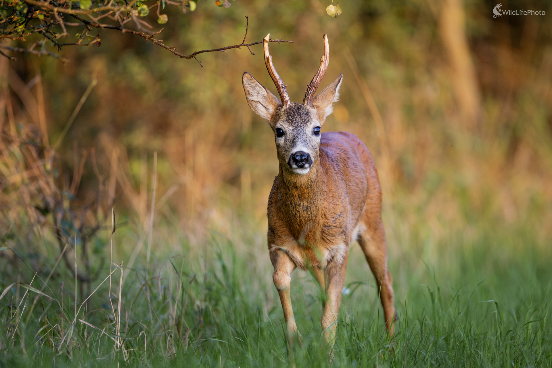 Pri východe slnka (Filip Mrocek)