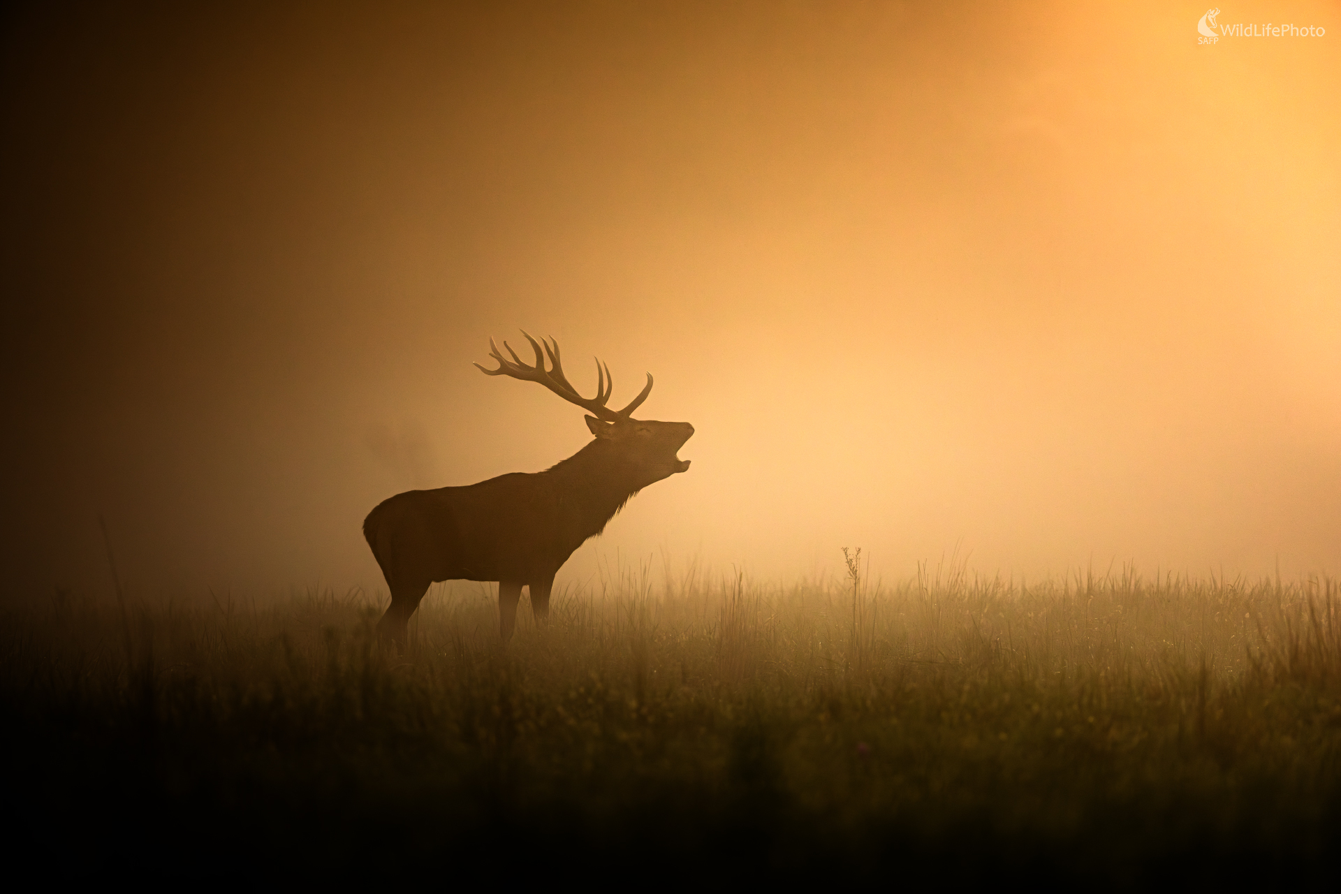 V plnom prúde (Filip Mrocek)
