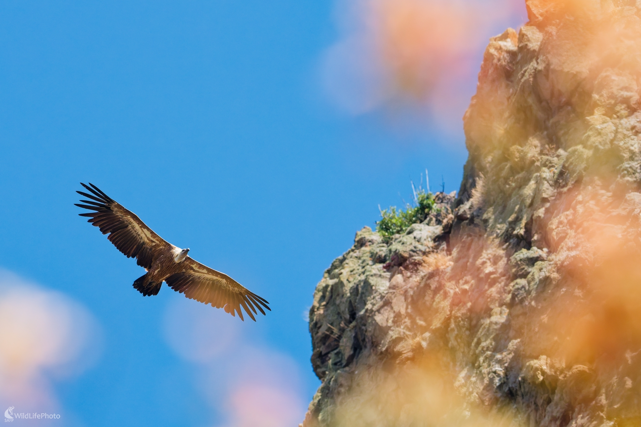 V zajatí oblohy... (Bohuš Číčel)