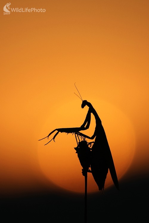 ...s východom slnka..., Milan Fuňák