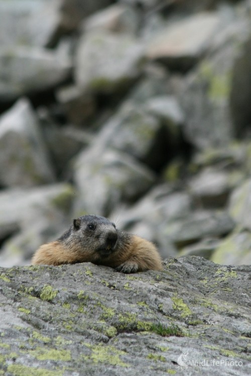 ...ešte jedno pivo... :), Milan Fuňák
