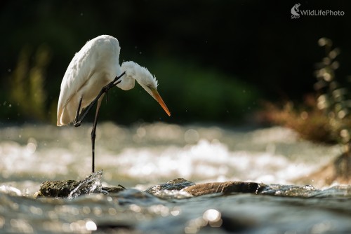 V protisvetle, Ľubomír Ondráško