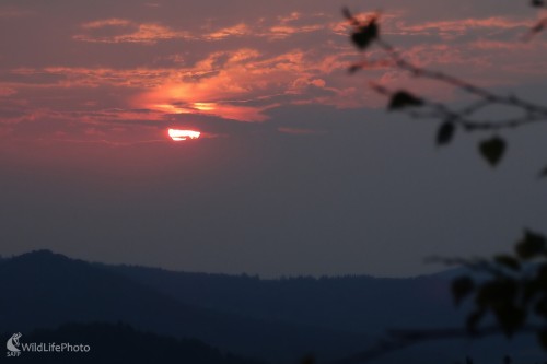 Keď slnko vychodí, Michal Žec