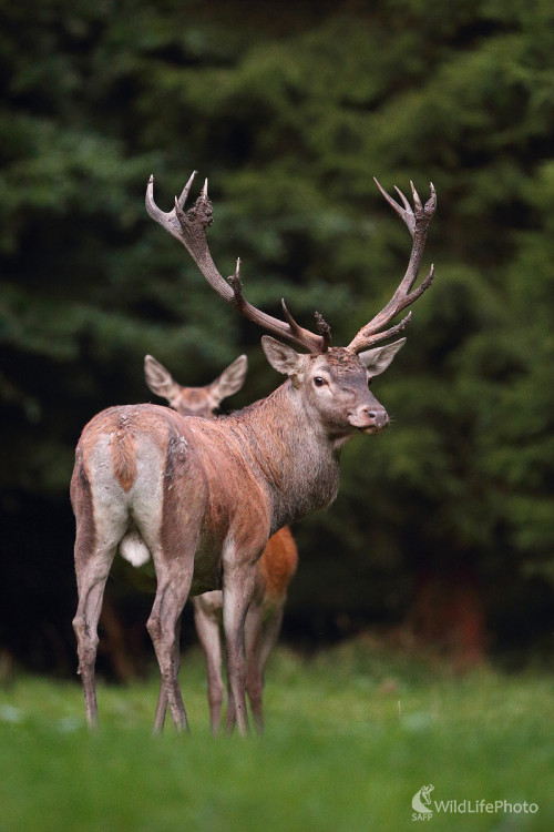 Pohľad späť, Marián Jamrich