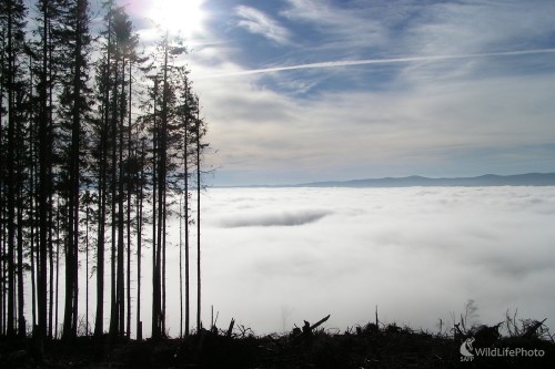 Pozostalí, Michal Žec
