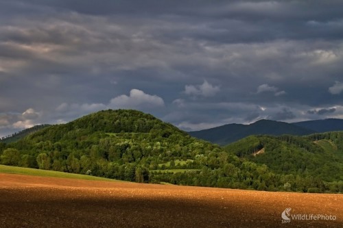 Krajina pri Muráni, Maroš Detko