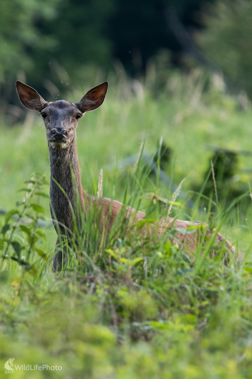 Na rúbani, Martin Vondra