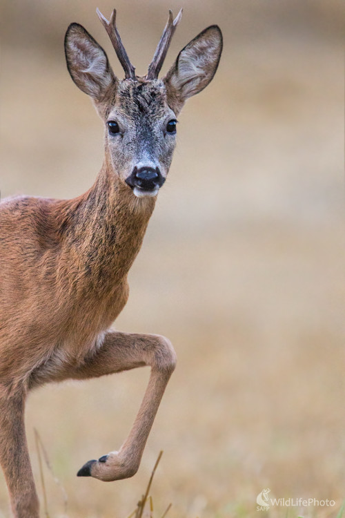 Na dotyk ruky, Martin Vondra