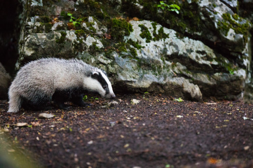 Nová generácia, Martin Vondra