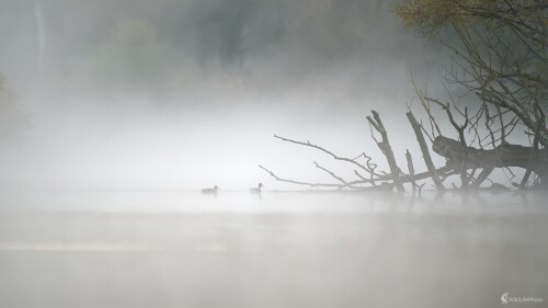 ... v opare., Bohuš Číčel