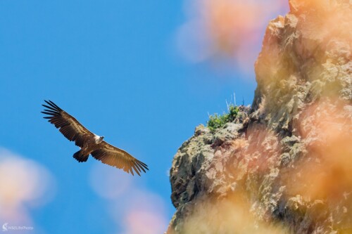 V zajatí oblohy..., Bohuš Číčel