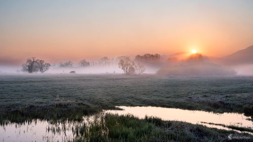 Mokrade Turca, František Hromada