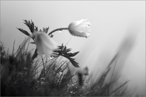 Orosená, Ján Maderič